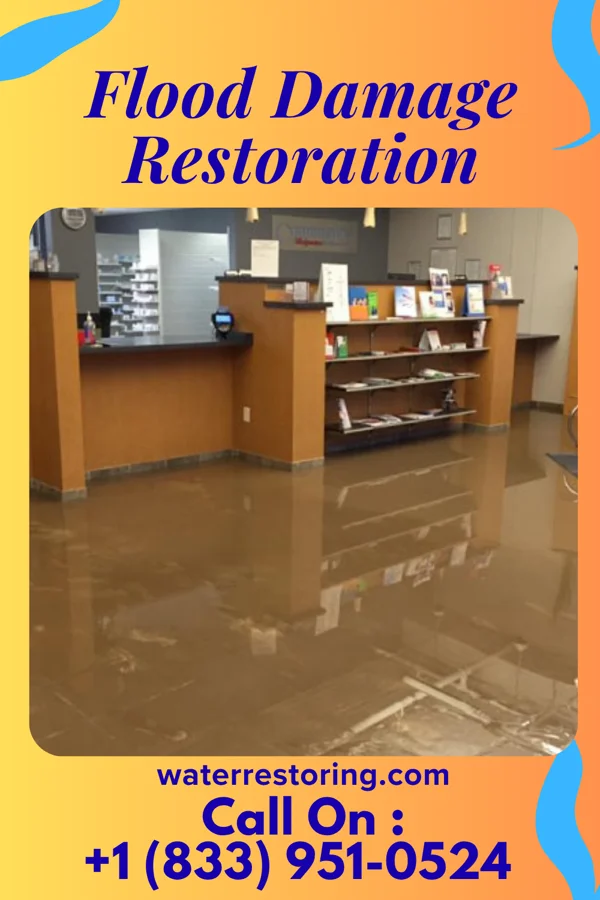 Flood Damage Restoration in Morristown, IN